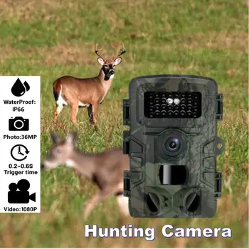 1080P HD Охотничья Камера Ночного Видения Регистратор Наблюдения Инфракрасная Противоугонная Камера Слежения С Активацией Движения Игра-Ловушка для дикой природы