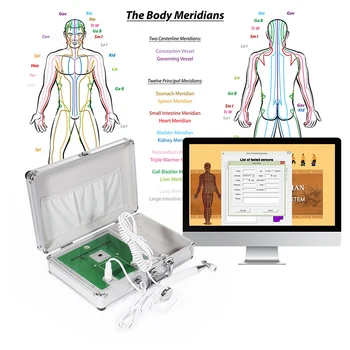 Китайская медицина, Диагностический прибор для иглоукалывания Apparaa Meridian Health Apparaa, Квантовый анализатор тела магнитного резонанса